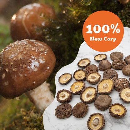 ONETANG Organic Dried Mushrooms, Natural Dried Mushrooms - Premium Flavors |AAA Grade Extra Dry Mushrooms for Soups, Sauces, Pasta and Risotto, Rehydrate Quickly, All Natural & Vegan | 16 Oz - Fresh Hearth