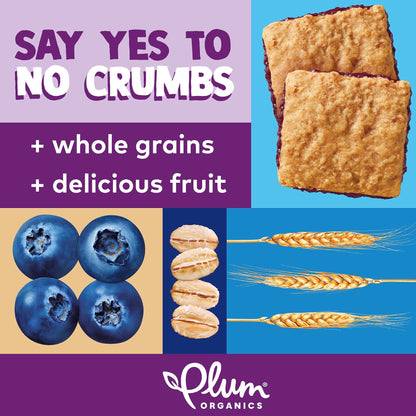 Plum Organics Jammy Sammy Snack Bars - Blueberry and Oatmeal - 1.02 oz Bars (Pack of 10) - Organic Toddler Food Snack Bars - Fresh Hearth