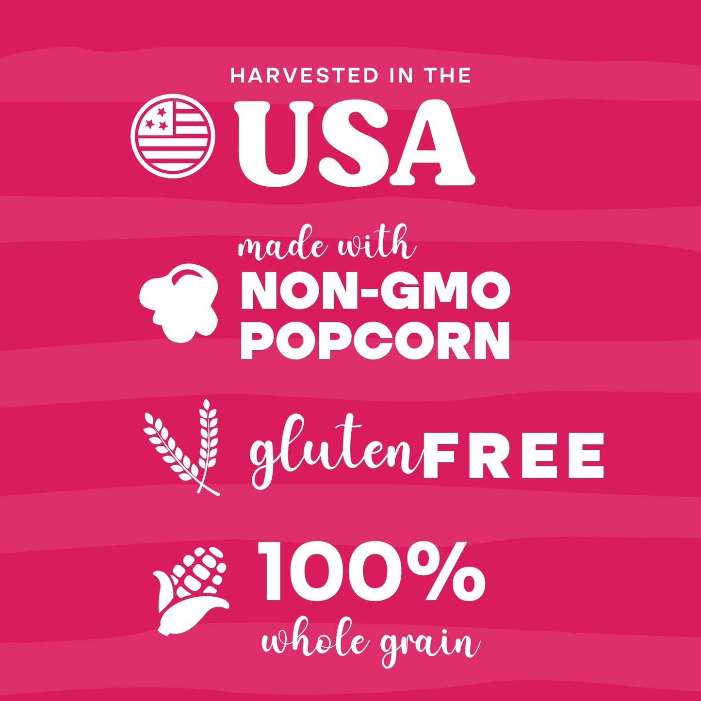 Pop n' Dulge Popcorn Movie Night Supplies 16 pcs Gift Set, 5 Gourmet Popcorn Kernels, 5 Seasoning Variety Packs Non - GMO Kosher Snacks, Great Housewarming Family Date Night Gifts Basket Ideas For Him Her - Fresh Hearth