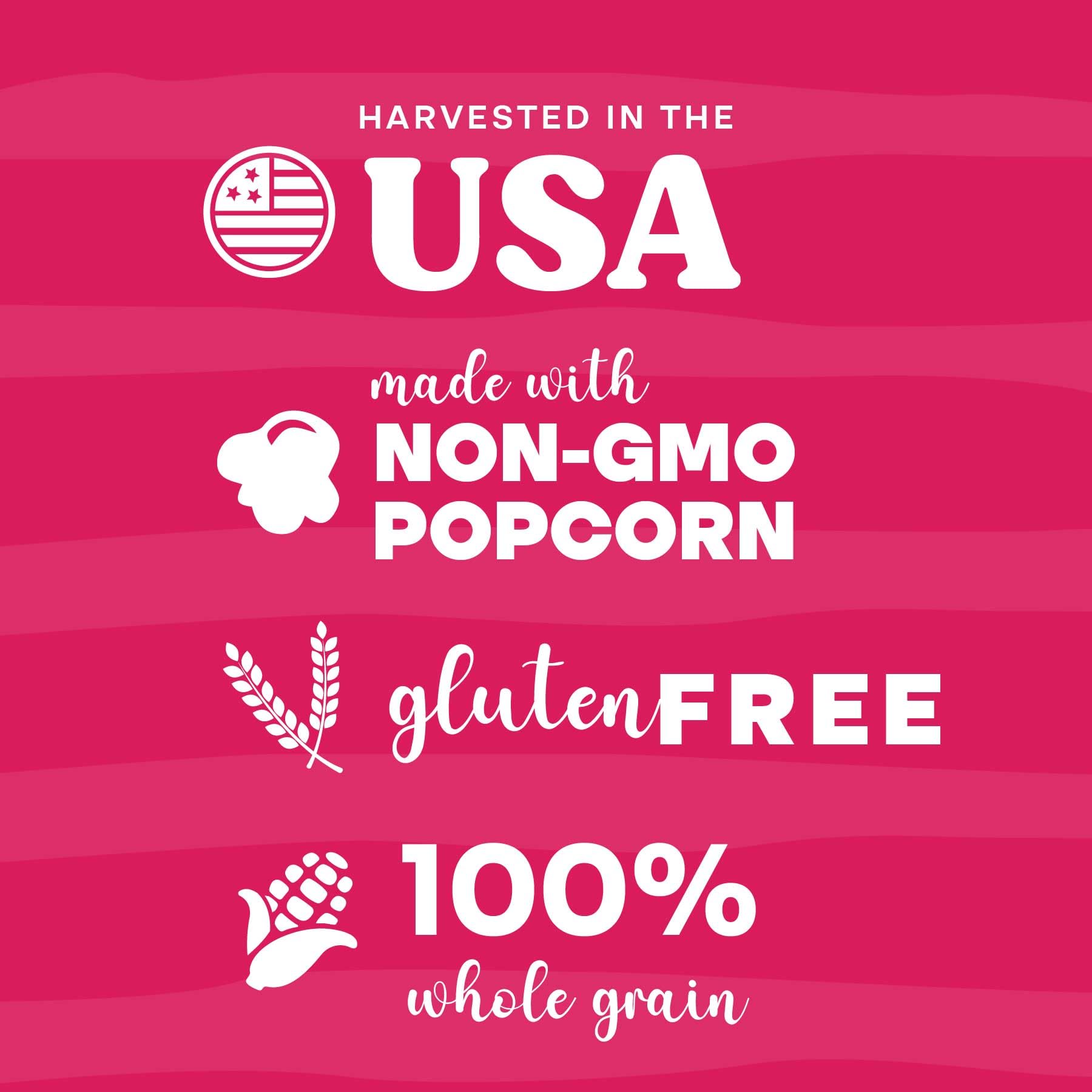 Pop n' Dulge Popcorn Movie Night Supplies 16 pcs Gift Set, 5 Gourmet Popcorn Kernels, 5 Seasoning Variety Packs Non - GMO Kosher Snacks, Great Housewarming Family Date Night Gifts Basket Ideas For Him Her - Fresh Hearth