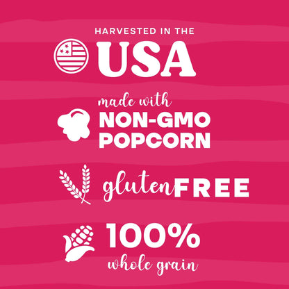 Pop n' Dulge Popcorn Movie Night Supplies 16 pcs Gift Set, 5 Gourmet Popcorn Kernels, 5 Seasoning Variety Packs Non - GMO Kosher Snacks, Great Housewarming Family Date Night Gifts Basket Ideas For Him Her - Fresh Hearth