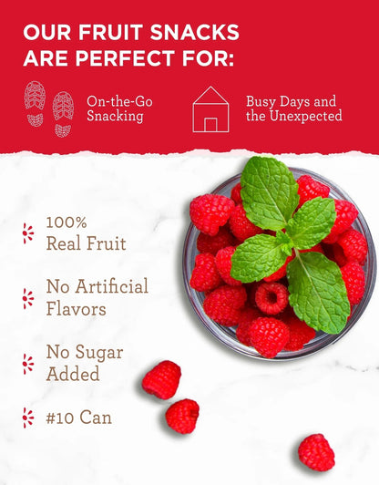 READYWISE - Simple Kitchen Freeze Dried Raspberries, 22 Servings, Vegan, Gluten Free, Healthy Snack, Survival Food, Dried Fruit, Raspberries - Fresh Hearth