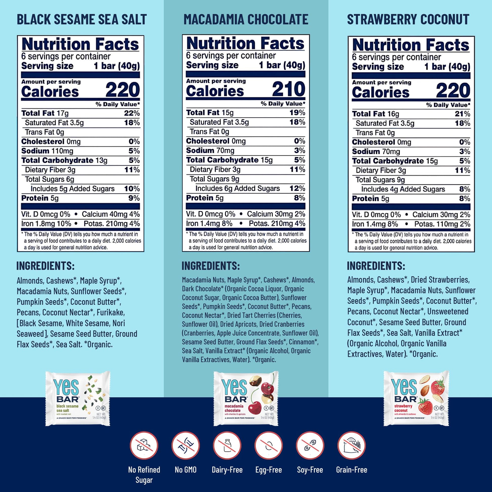 The YES Bar – Six Flavor Variety Pack – Plant Based Protein, Decadent Snack Bar – Vegan, Paleo, Gluten Free, Dairy Free, Low Sugar, Healthy Snack, Breakfast, Low Carb, Keto Friendly (Pack of 6) - Fresh Hearth