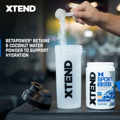 XTEND Sport BCAA Powder Blue Raspberry Ice - Electrolyte Powder for Recovery & Hydration with Amino Acids - 30 Servings - Fresh Hearth