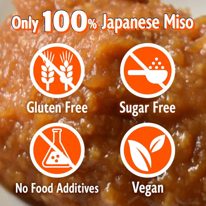 YAMASAN KYOTO UJI Japanese miso seasoning Dry Miso Seasoning, Freeze - Dried Miso Powder, No Additives, Vegan, Delicious Flavor for Various Foods, Made in Japan 100g(3.52oz) - Fresh Hearth